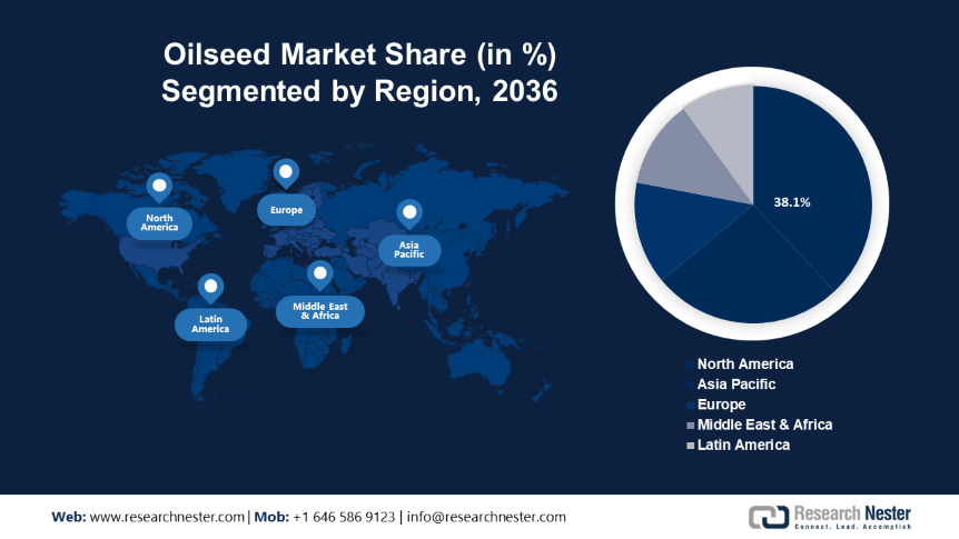 Oilseed Market Share